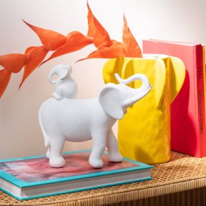 Olifant Draagt Baby