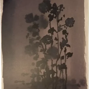 TinyStories Poster met Lijst - Chocolate Flowers
