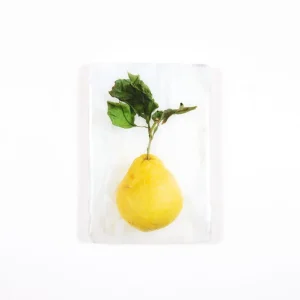 StigerWoods wooden tile King Lemon