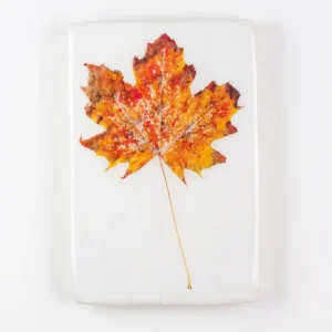 StigerWoods wooden tile Planetree Leaf