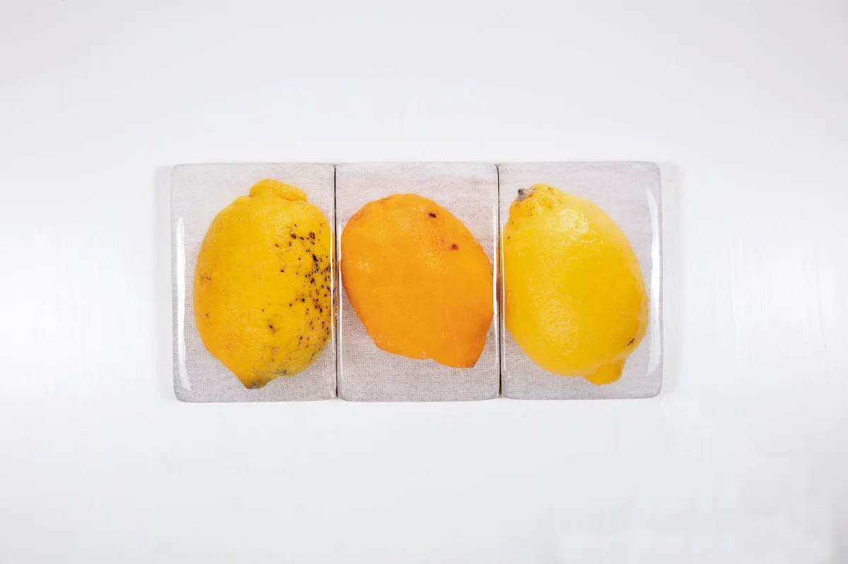 StigerWoods wooden tile Three Lemons - Afbeelding 2
