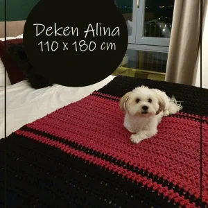 Alina Deken (Haakpatroon)