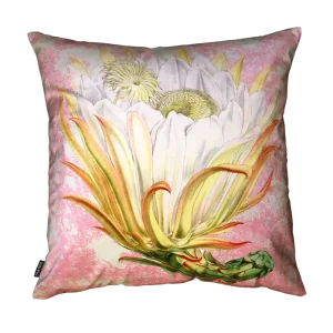 Velvet Protea Pink Toile kussen