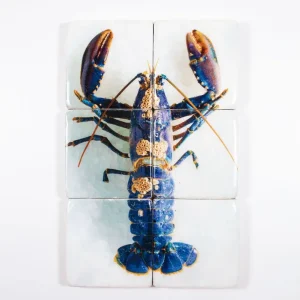 StigerWoods wooden tile European Lobster Barnacles
