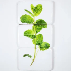 StigerWoods wooden tile Mint