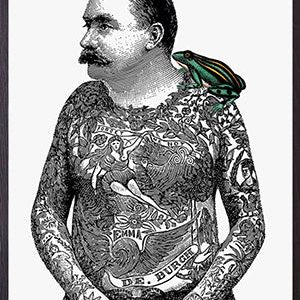 Vanilla Fly poster Tattoo Toad